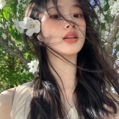 工程师普赖特的方案